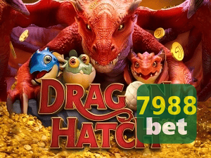 7998BET PIX instantâneo Brasil - Depósito e saque em minutos 24/7